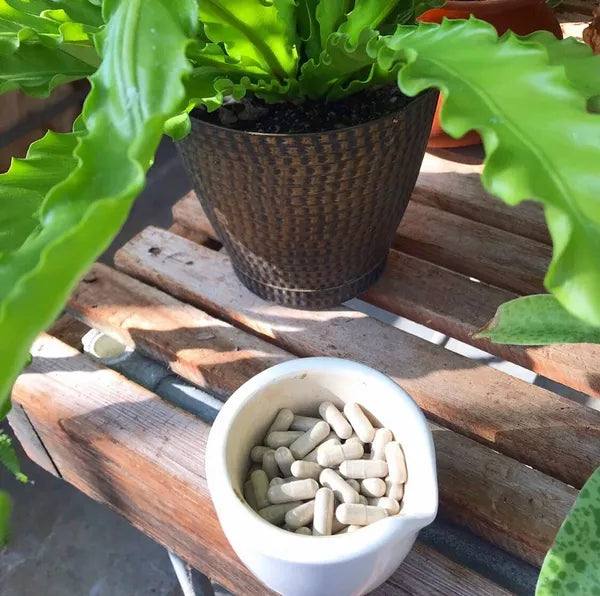 KoKo Multicapsulated Herbs